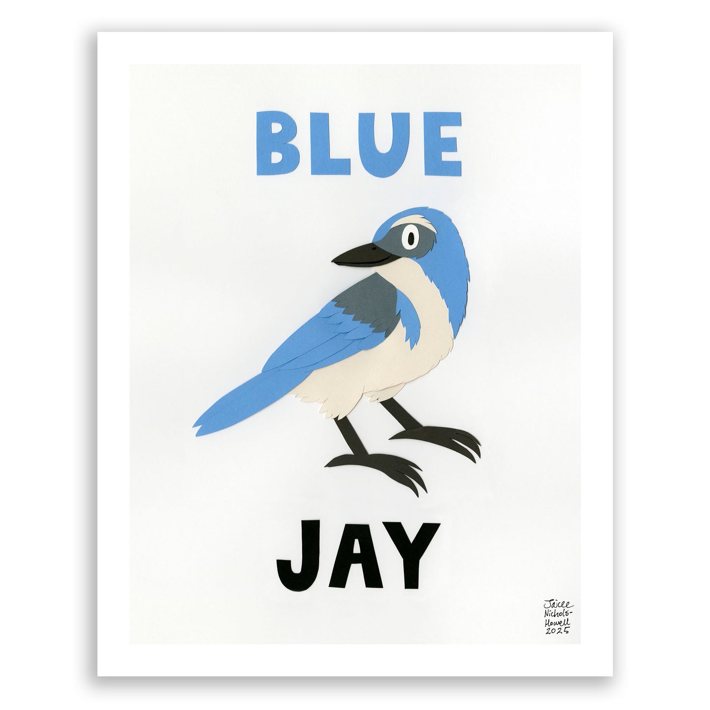 Colorful Critters: Blue Jay