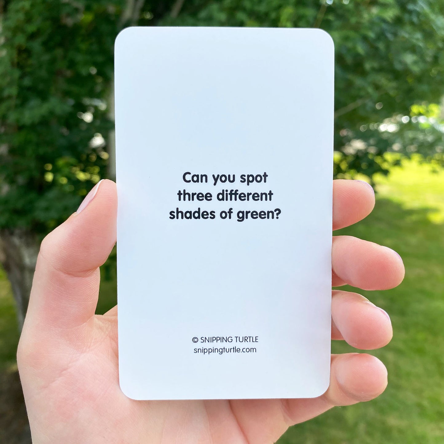 Nature Connection Cards