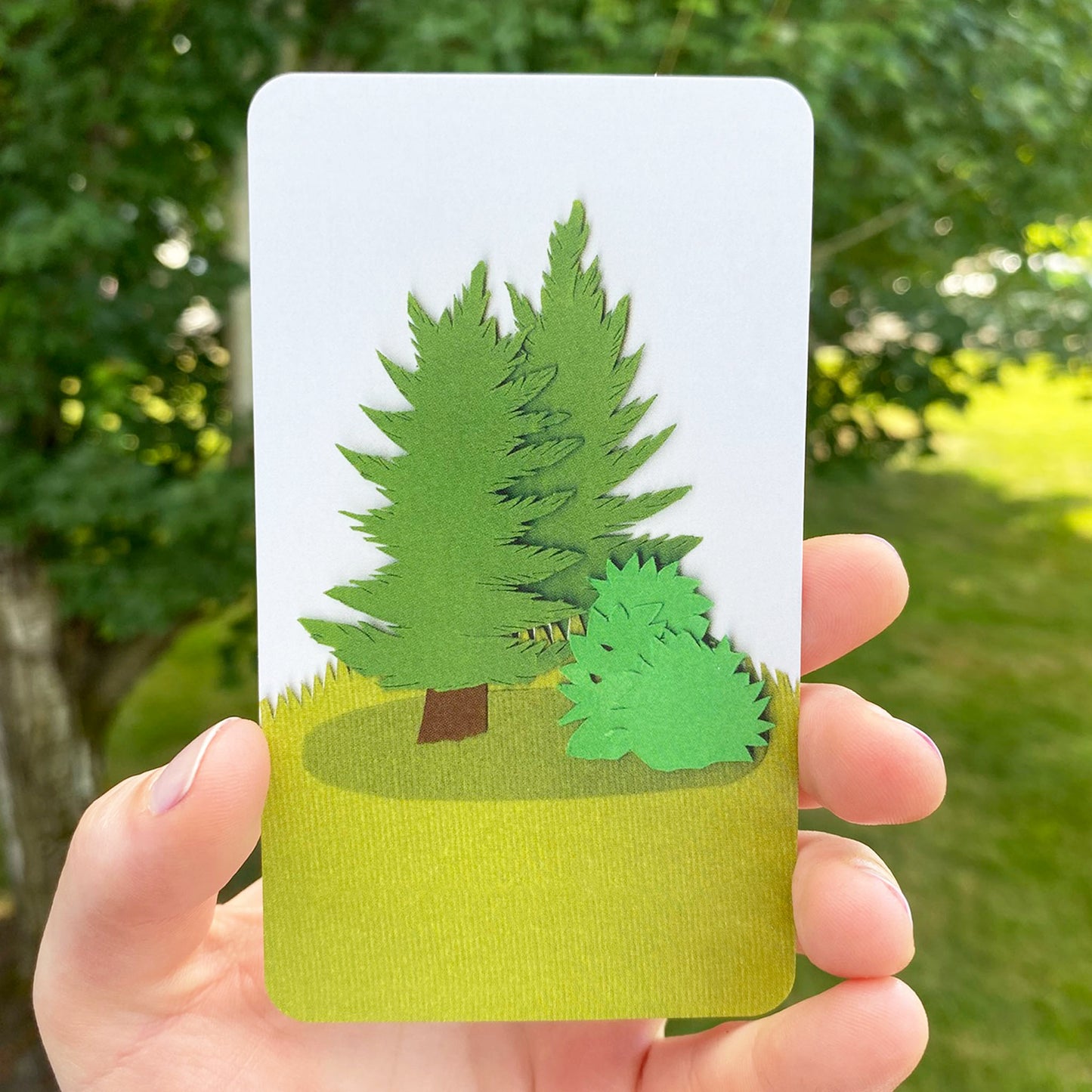 Nature Connection Cards