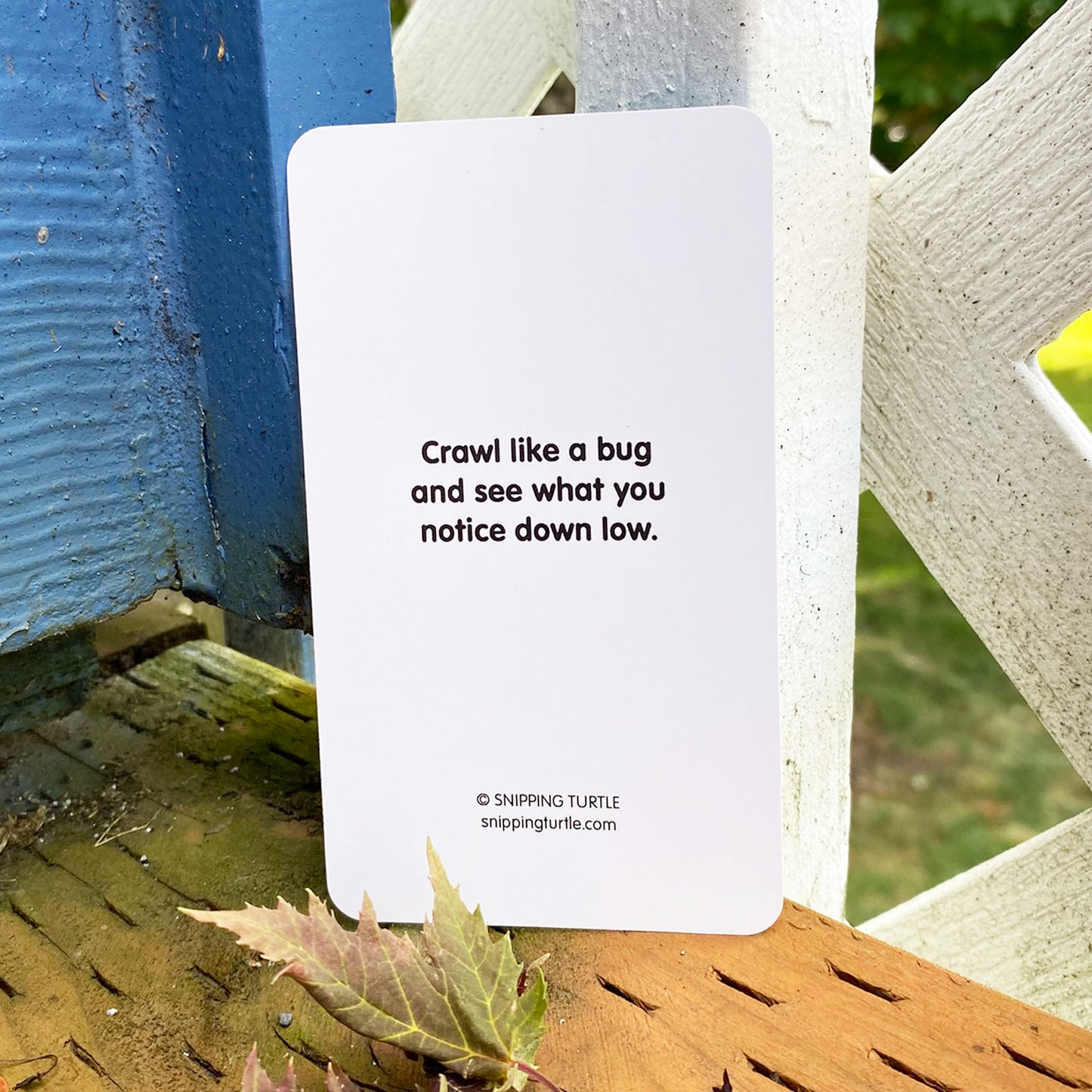 Nature Connection Cards