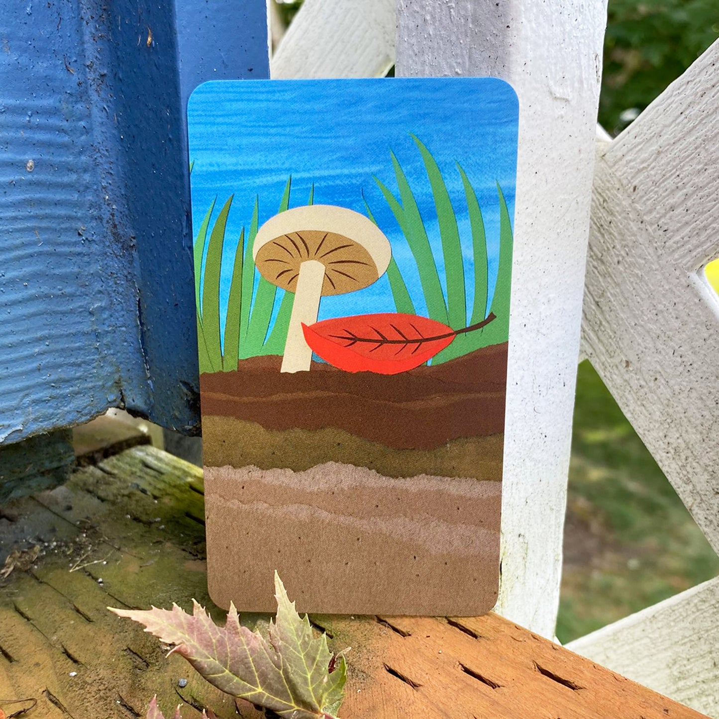 Nature Connection Cards