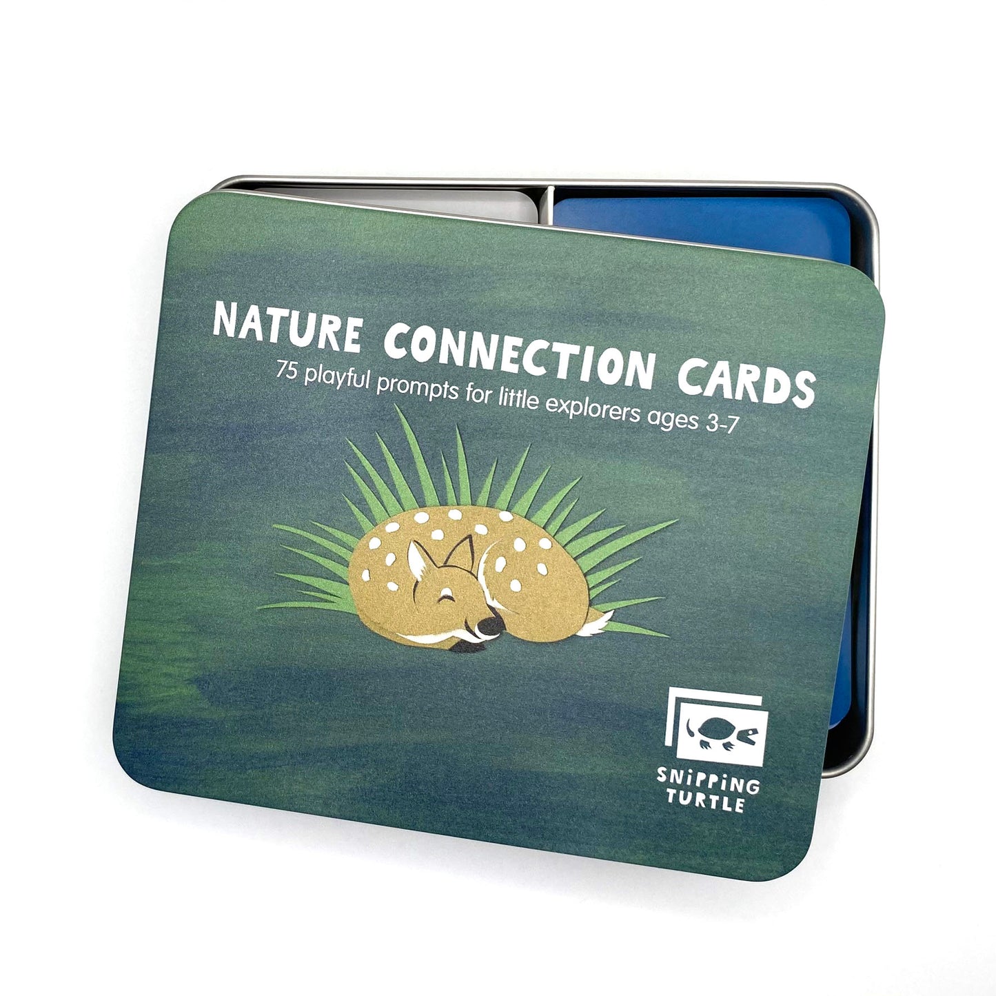 Nature Connection Cards