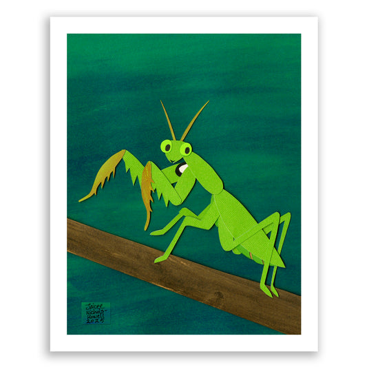 Praying Mantis